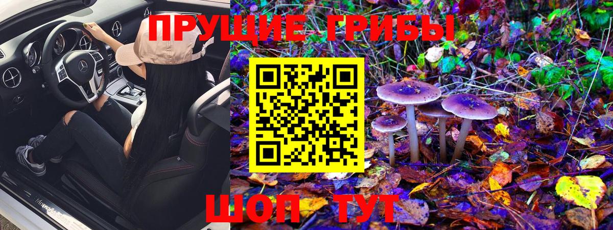 Галлюциногенные грибы Psilocybine cubensis  Вход с VPN  Ачхой-Мартан 