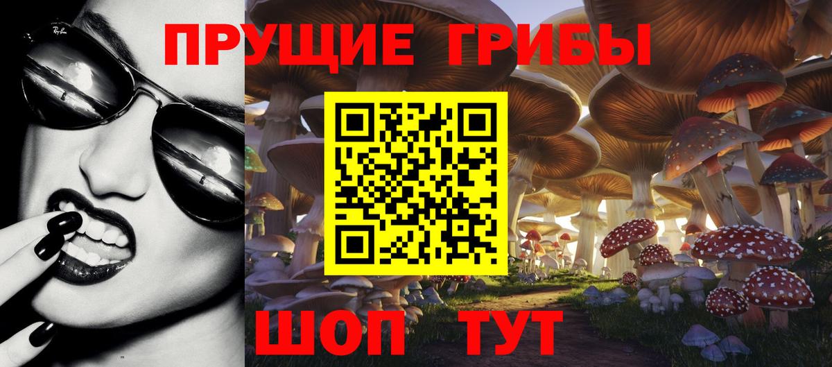 Псилоцибиновые грибы прущие грибы Ачхой-Мартан